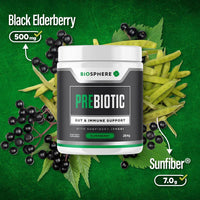 Biosphere Prebiotic